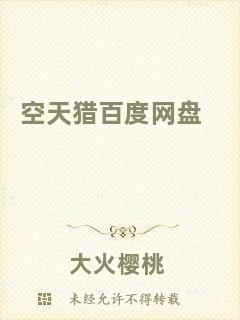 空天獵百度網盤