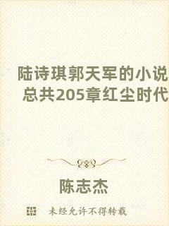 陸詩琪郭天軍的小說總共205章紅塵時代