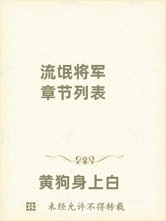 流氓將軍章節列表