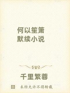 何以笙簫默續小說