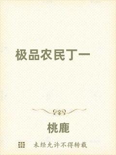 極品農民丁一