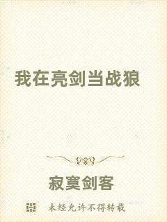 我在亮劍當戰(zhàn)狼
