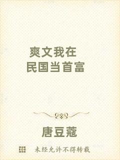 爽文我在民國當首富