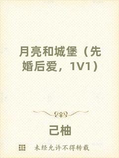 月亮和城堡（先婚后愛，1V1）