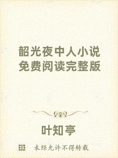 韶光夜中人小說免費閱讀完整版