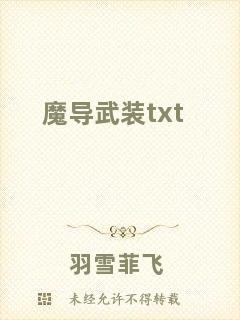 魔導武裝txt